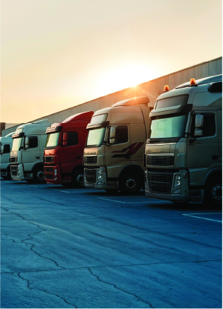 Live Fleet Picture
